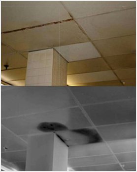 Moisture from Column